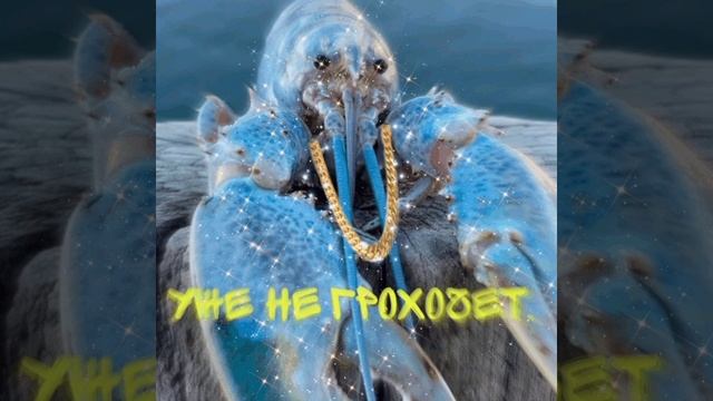Уже не грохочет - синий лобстер(blue lobster song смотреть всем) смотреть онлайн
