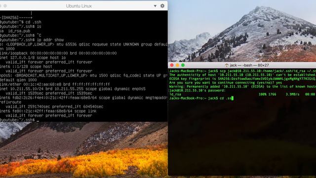 How To Set Up SSH Key Authentication On Ubuntu Server смотреть онлайн