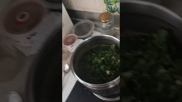 Суп из листьев моринги и куриным мясом.