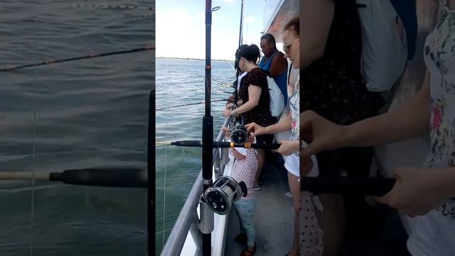 Бойко Диана. ЭТА ДЕВОЧКА ВСЕ СВОЮ ЖИЗНЬ БОРЕТСЯ С РАКОМ(98) смотреть онлайн