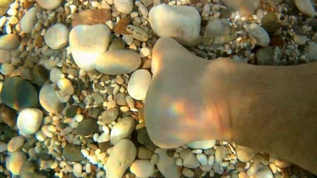 Анталия, пляж, рыбки-чистильщики