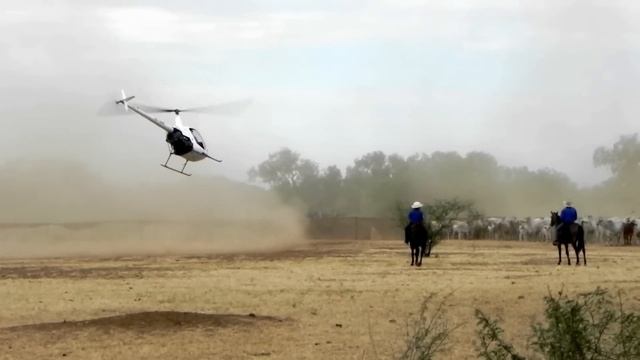 Heli Mustering, R 44, Australian Outback Helicopter Muster. Cattle Station смотреть онлайн