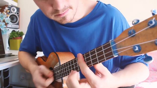 Rammstein Ukulele Style ( Mutter ) Album Medley