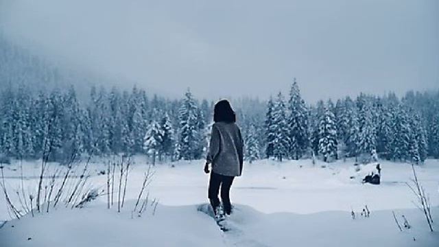 🎹🎶"Белым снегом" гармонь Наталенко Владимир Павлович /Новосибирск смотреть онлайн