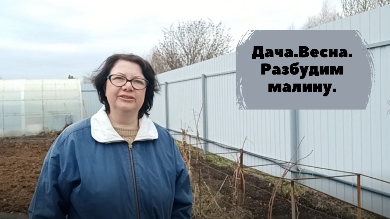 Дача. Весна. Разбудим малину. смотреть онлайн