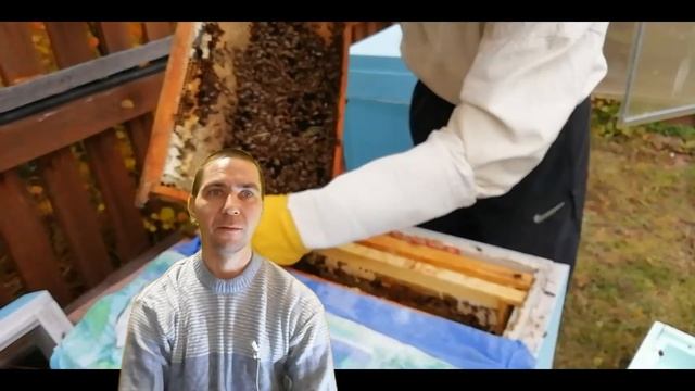 Какое дно для улья выбрать - Типы доньев для улья смотреть онлайн