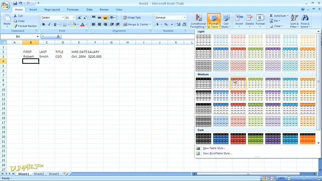 How to Create a Data List in Excel 2007 For Dummies смотреть онлайн