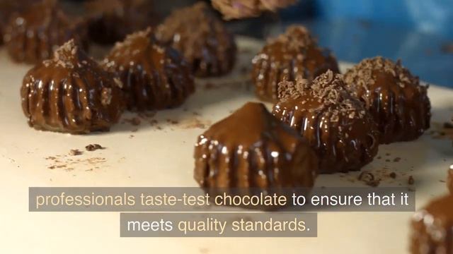 7 unusual Jobs and Careers смотреть онлайн