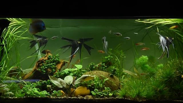 Kryon 2023 : Everything is Being Created in Divine Perfection смотреть онлайн