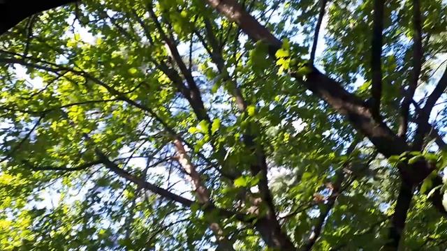 Поползень смотреть онлайн