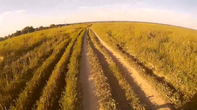 Kayo 140 Видио от Славика,катают под Жуковым 4 смотреть онлайн