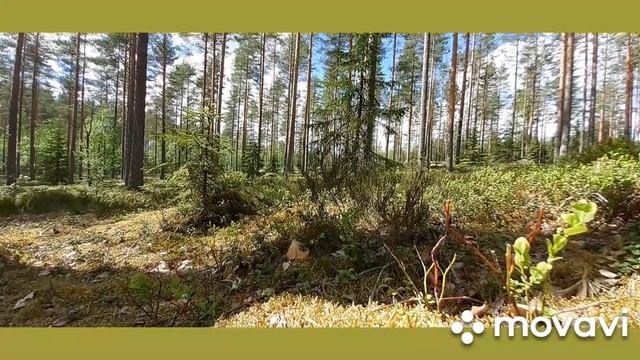 Shamanistic music/Шаманская музыка. Разогрев/Warming up смотреть онлайн