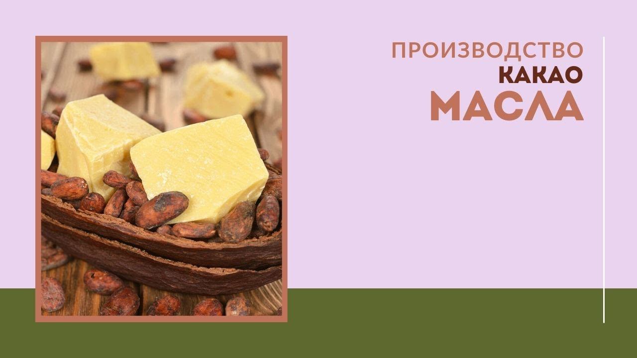 Процесс производства какао-масла смотреть онлайн