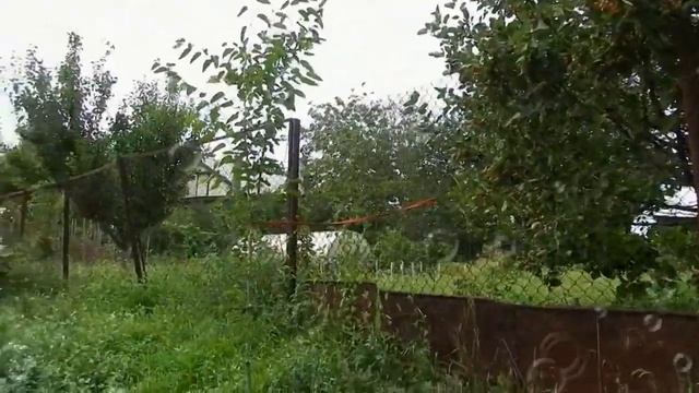 ТОСКОВАЛА ОСЕНЬ смотреть онлайн