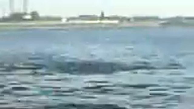 Мой прыжок с моста Саратов-Энгельс3gp смотреть онлайн