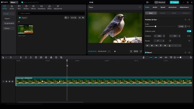 How To Zoom In And Zoom Out In Capcut On PC