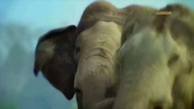 Мне хорошо с тобой смотреть онлайн