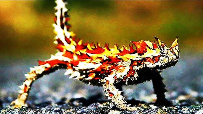 7 Реальных животных-монстров, которые вас удивят. смотреть онлайн