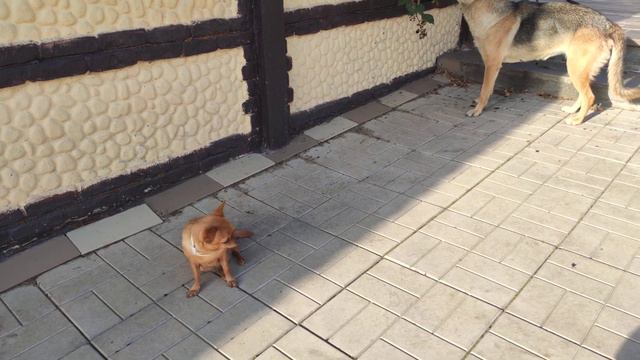 Славянск. 22 августа 2022 года. 18:00. смотреть онлайн