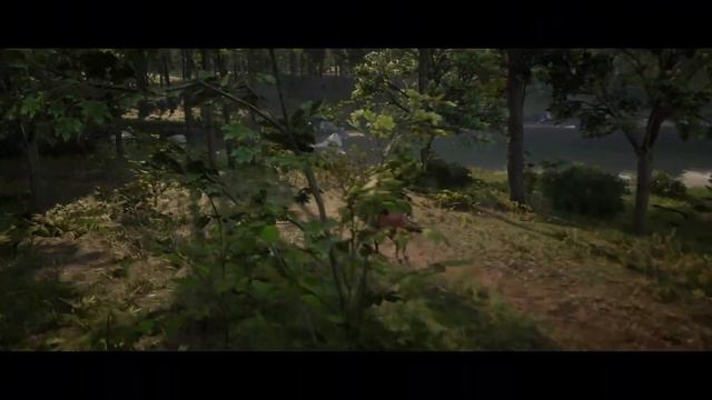 Red Dead Redemption 2 [PS4] #20 Новые вопросы о правах женщин смотреть онлайн