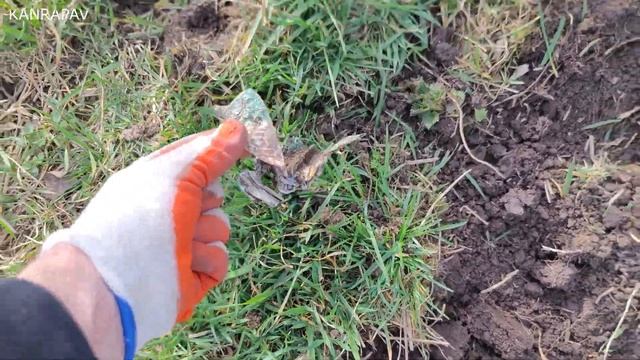 ПОИСК В ЗАТОПЛЕННОЙ ДЕРЕВНЕ! НАШЕЛ НЕ БИТОЕ МЕСТО ВЫКОПАЛ МНОГО НАХОДОК. Коп поиск монет 2023 смотреть онлайн