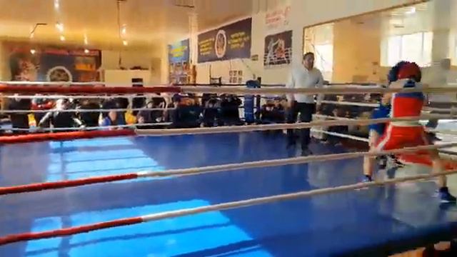 #ахты #бокс Бой Омар Абдулхаликов Соревнования по боксу смотреть онлайн