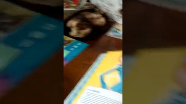 Вскрытие карточек Гадкий я 3 магнит часть 3 смотреть онлайн