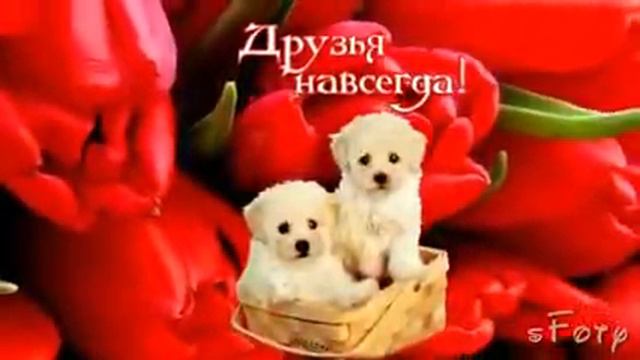 9 декабря 2016 г. смотреть онлайн