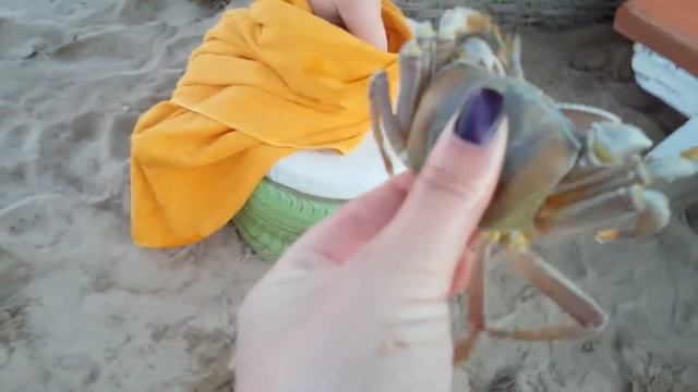 Достали краба из норы. смотреть онлайн
