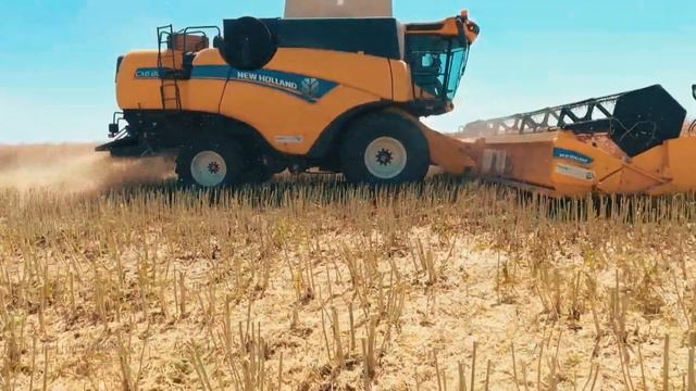 Рапс озимый, технологии, уборка. смотреть онлайн