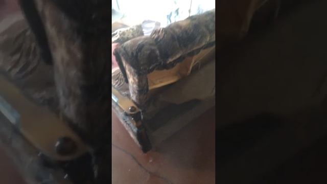 Обработка дивана от клопов. смотреть онлайн