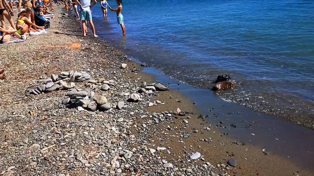 Пляж СОЧИ. Клубника. 30+ и вода 18+ смотреть онлайн