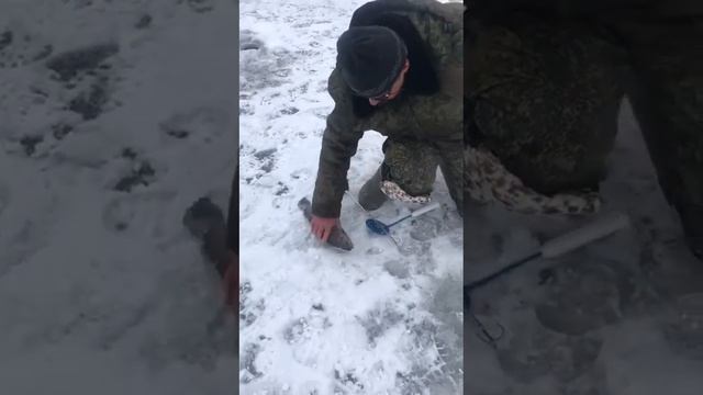 Зимняя рыбалка. Ловля форели зимой. Платная рыбалка на форель в Подмосковье / Рыбалка в ДУРЫКИНО смотреть онлайн