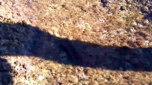 24.12.2016. Прогулка по Ориуэла Коста и Рождественский ужин в кругу семьи смотреть онлайн