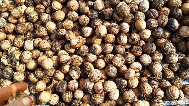 РАБОТУ СЕБЕ НАШЛА..... смотреть онлайн