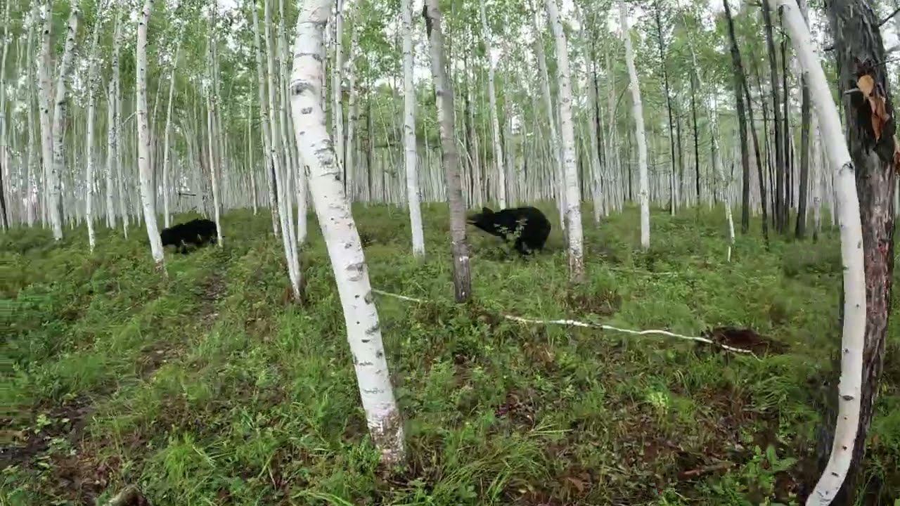 Буржуй зовёт Дусю. смотреть онлайн
