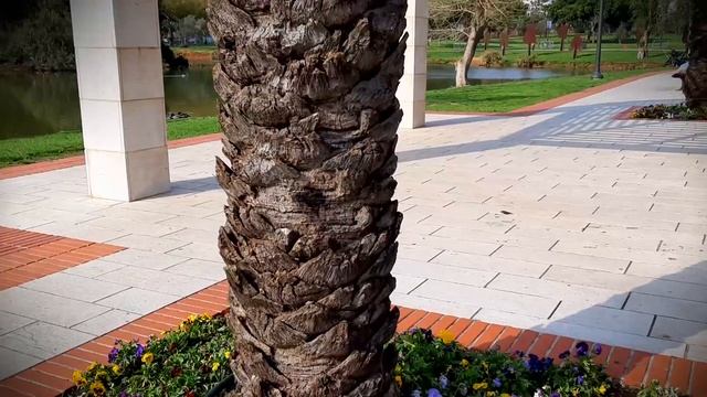 National park Ramat Gan. Израиль. Март 2020г. (часть 1) смотреть онлайн