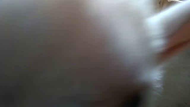 Имена козлят!!! смотреть онлайн