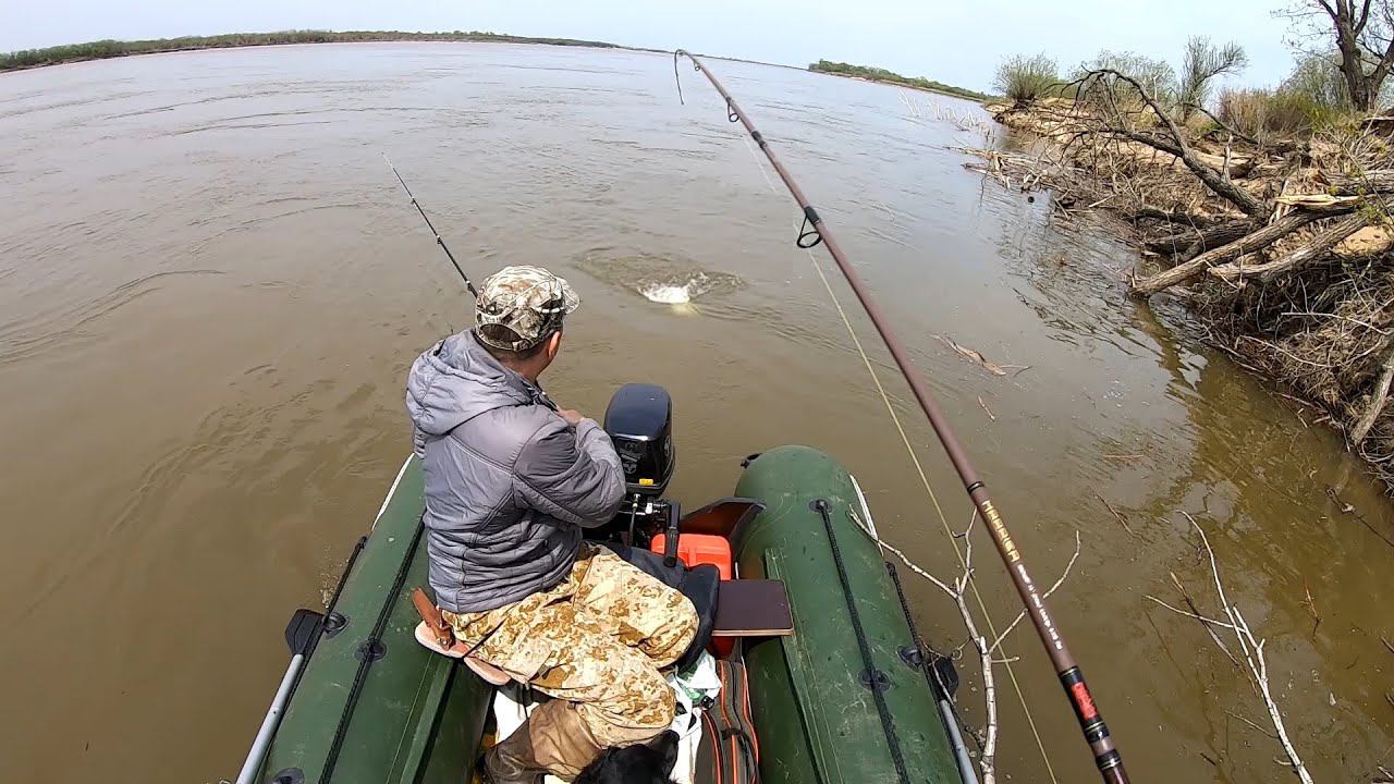 Оказались в нужном месте с нужными снастями. Рыбалка 2023 река Амур смотреть онлайн