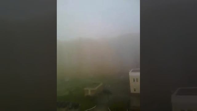 Туманище/просто капец/птички! смотреть онлайн