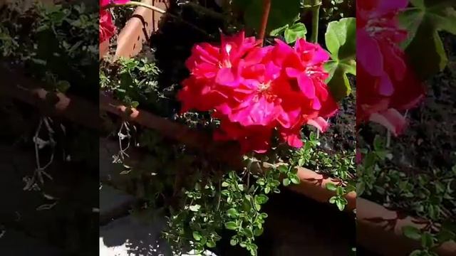 Объединяем участок смотреть онлайн