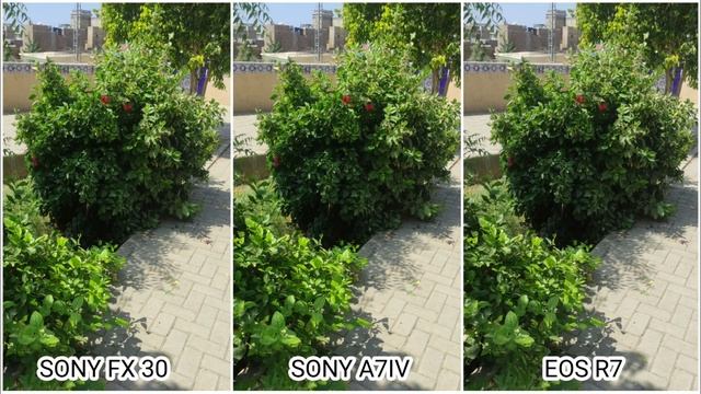 Sony FX30 Vs Sony A7IV Vs Canon Eos R7 | Camera Test Comparison смотреть онлайн