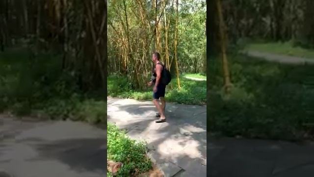 Животные Китай 2020 смотреть онлайн