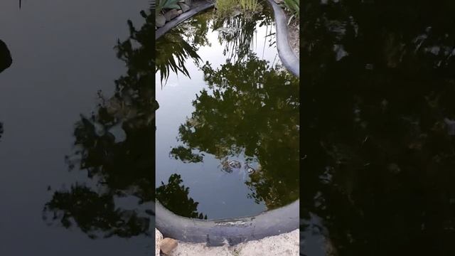 Краска для бассейна безопасная резиновая краска смотреть онлайн