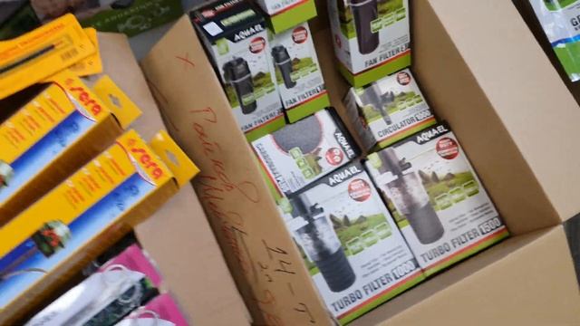 Открытие и привоз Aquael Королевский питомец Гомель смотреть онлайн