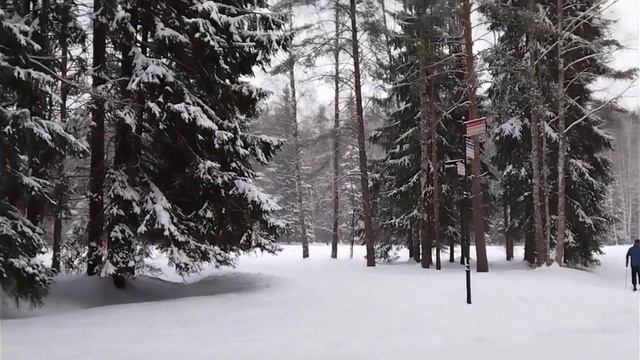 Природа Павловского парка смотреть онлайн