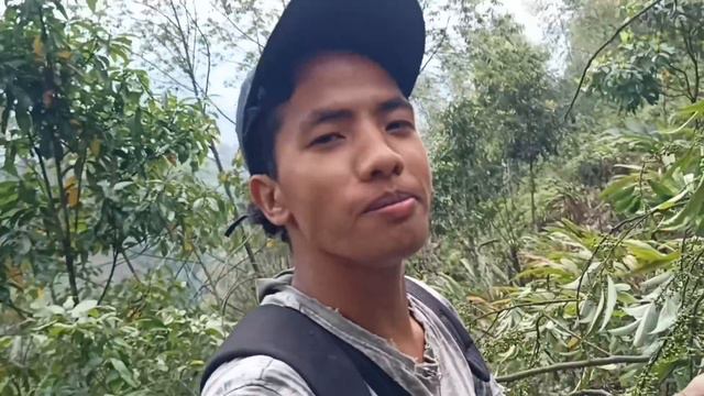 Search Litsea Cubeba Plant [ Tayir ] For A Dinner | Arunachal Pradesh!!!