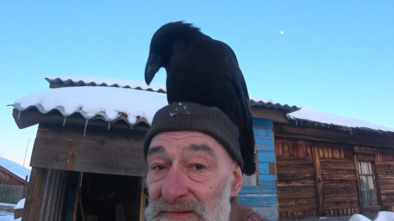 Лунная загадка. смотреть онлайн