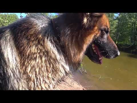 Про письменность, речь и святое писание. смотреть онлайн