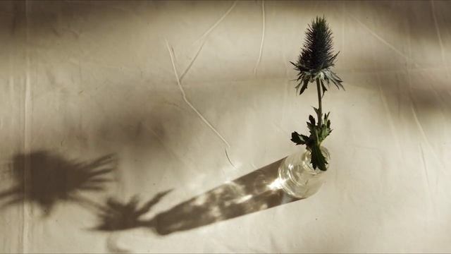 КАК ВДОХНОВИТЬ СВОЮ ЖИЗНЬ | 6 секретов вдохновения смотреть онлайн